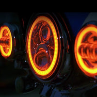 Thumbnail for CUSTOM DYNAMICS 7