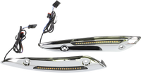 Thumbnail for CUSTOM DYNAMICS Windshield Trim - Chrome CD-RG-WT-AW2-C