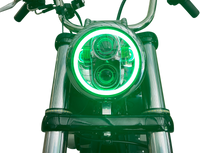 Thumbnail for CUSTOM DYNAMICS 5.75