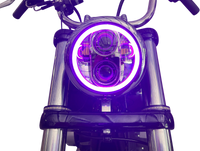 Thumbnail for CUSTOM DYNAMICS 5.75
