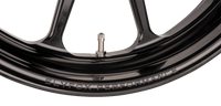 Thumbnail for SLYFOX Wheel - Track Pro - Front - Dual Disc/with ABS - Black - 19x3 12047905RSLYAPB