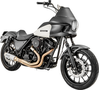 Thumbnail for BASSANI XHAUST 2-into-1 Exhaust System with Super Bike 4