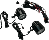Thumbnail for CUSTOM DYNAMICS LED Fog Light - Halo - Black PB-FOG-23-B