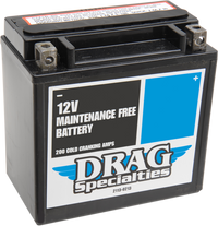 Thumbnail for DRAG SPECIALTIES AGM Battery - YTX14LBS DTX14L-BS
