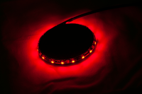 Thumbnail for CUSTOM DYNAMICS Magicflex?2 Wheel Light - Black/Pink M215PINKB