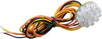 Thumbnail for CUSTOM DYNAMICS 1