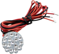 Thumbnail for CUSTOM DYNAMICS 1