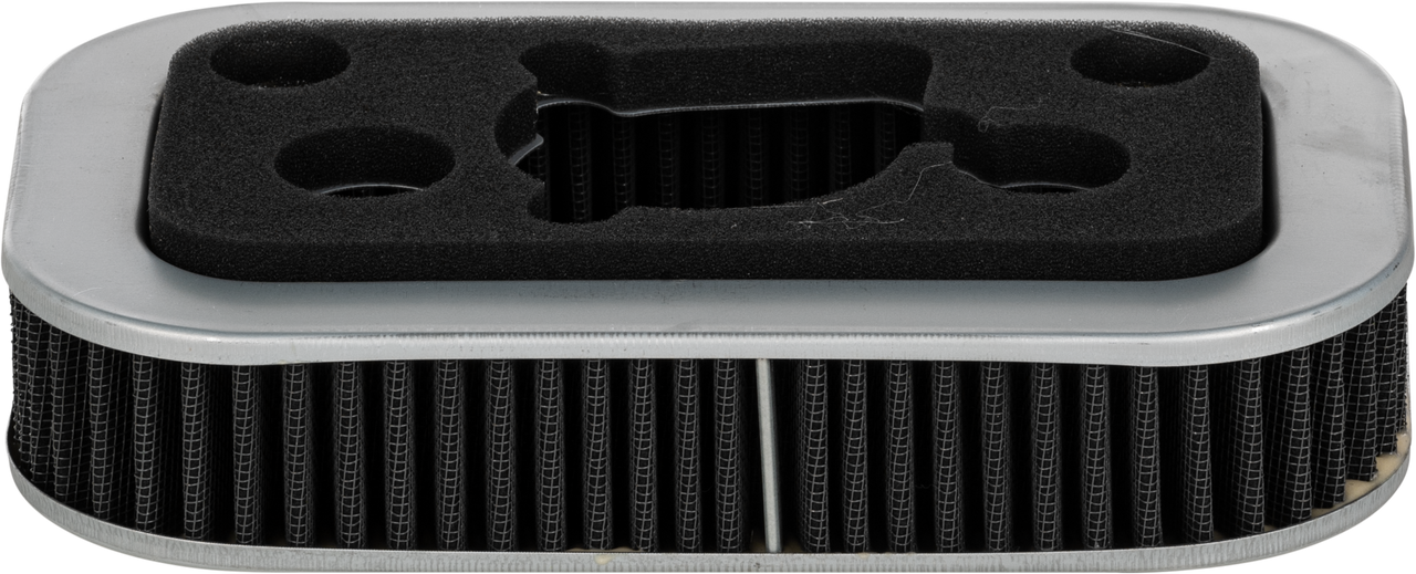Performance Air Filter Repl OEM 29331 96/29036 88b
